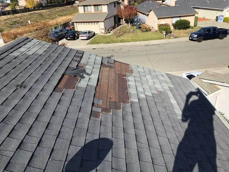 missing shingles 