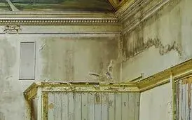 A moldy house for post Can a roof leak cause mold?
