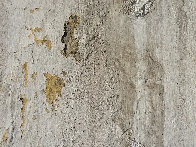 Peeling paint caused by mold