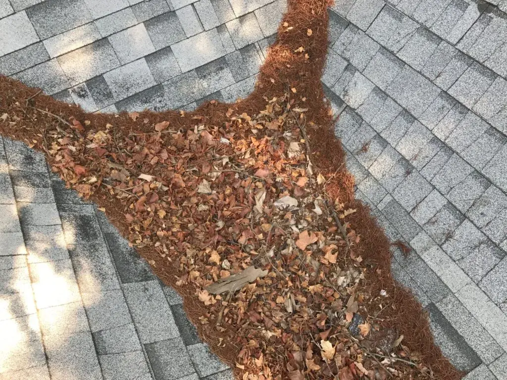 Roof debris, cleaning your roof gutters
