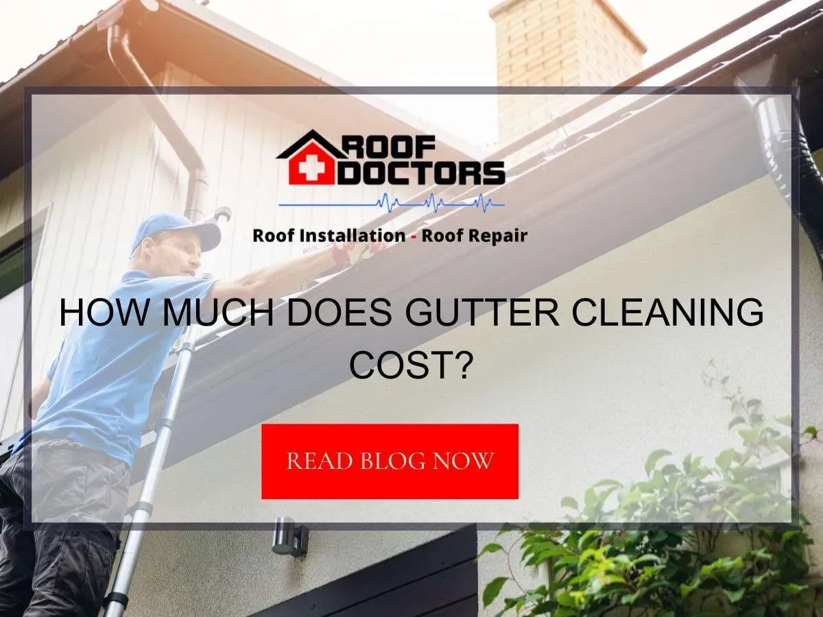 How Much Does Gutter Cleaning Cost?