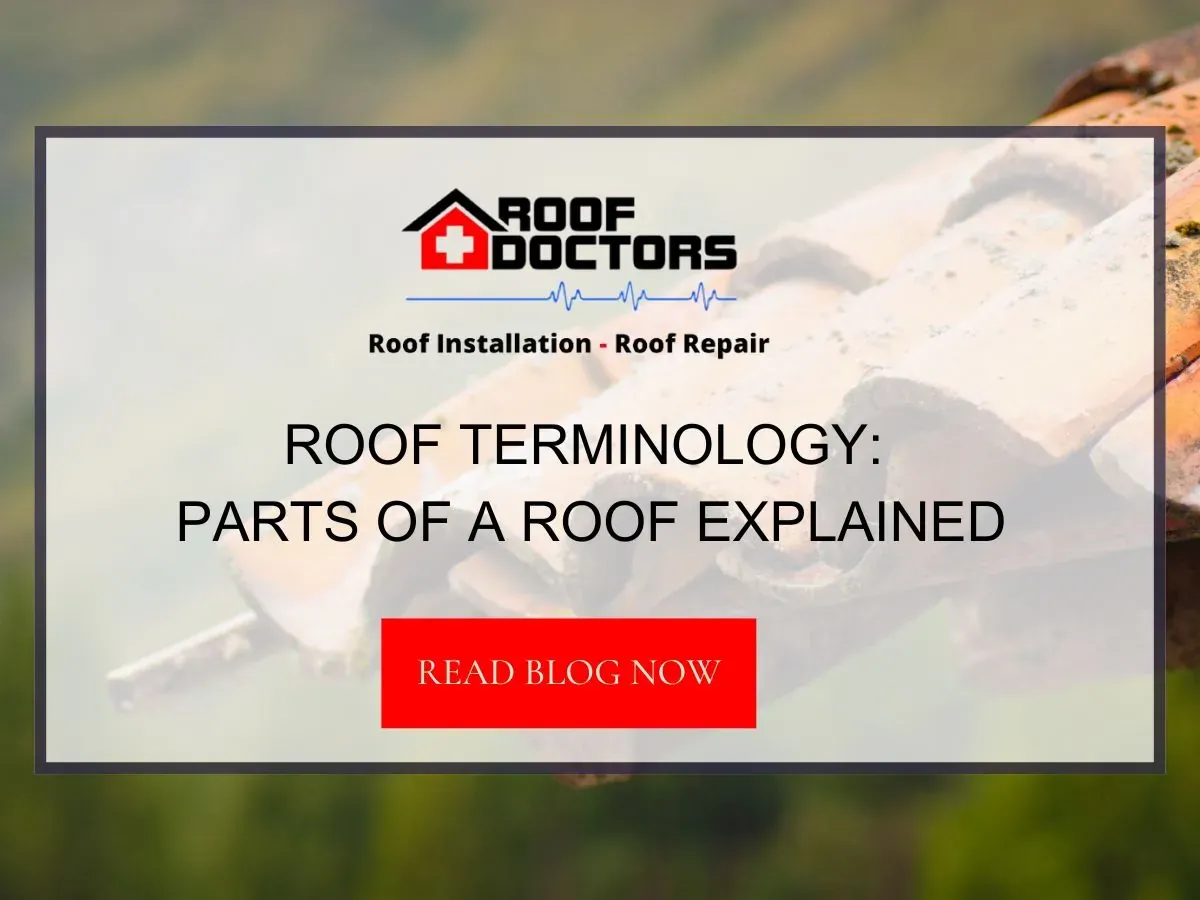 Roof Terminology: Parts of a Roof Explained