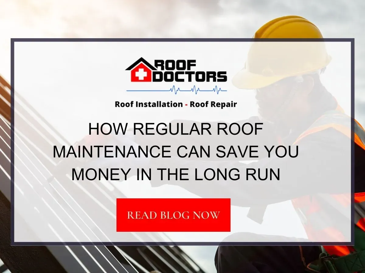 How Regular Roof Maintenance Can Save You Thousands in the Long Run