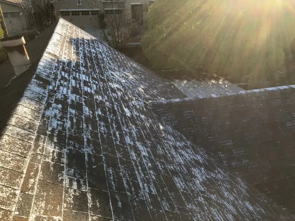 Heavy granulation, Impact of Weather Conditions on Roof Leaks