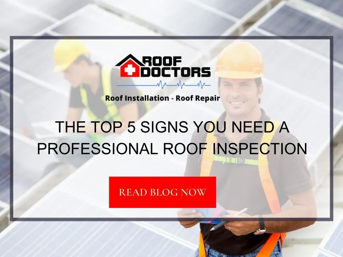 The Top 5 Signs You Need a Professional Roof Inspection