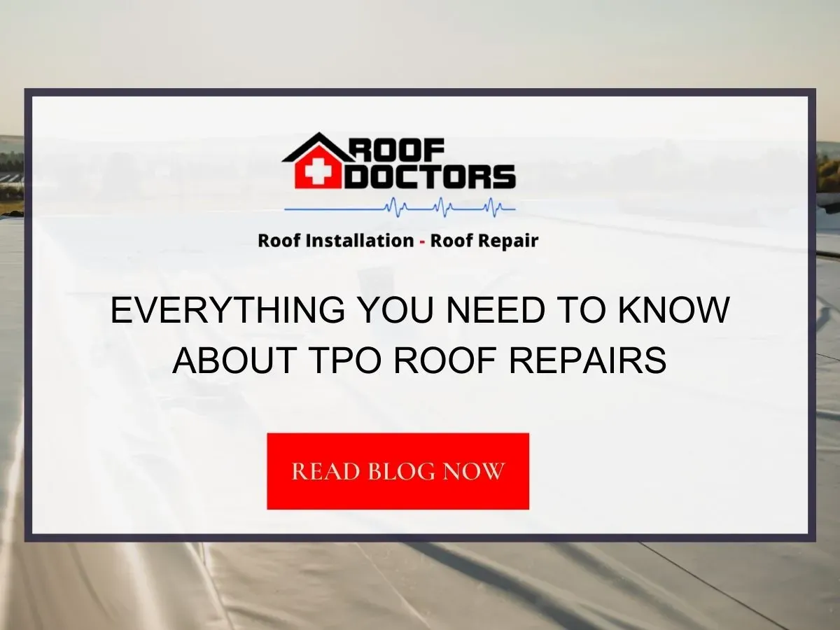 Everything You Need to Know About TPO Roof Repairs