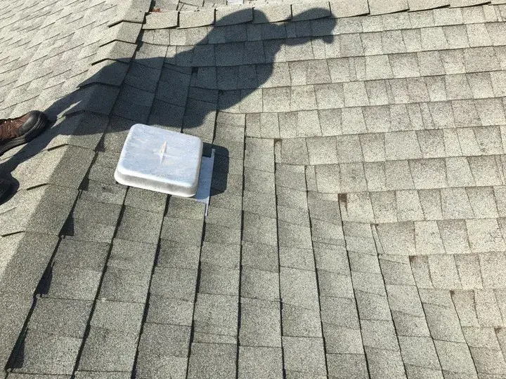 A turtle vent