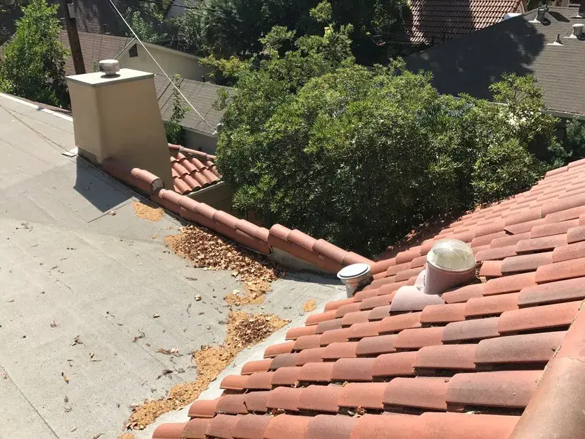 A clay tile roof