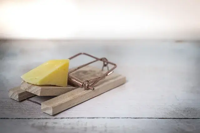Rat trap 
