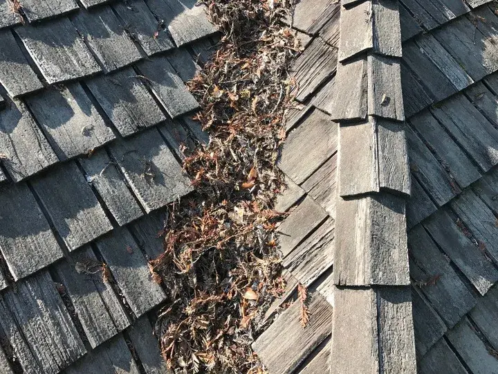 shake debris in roof valley