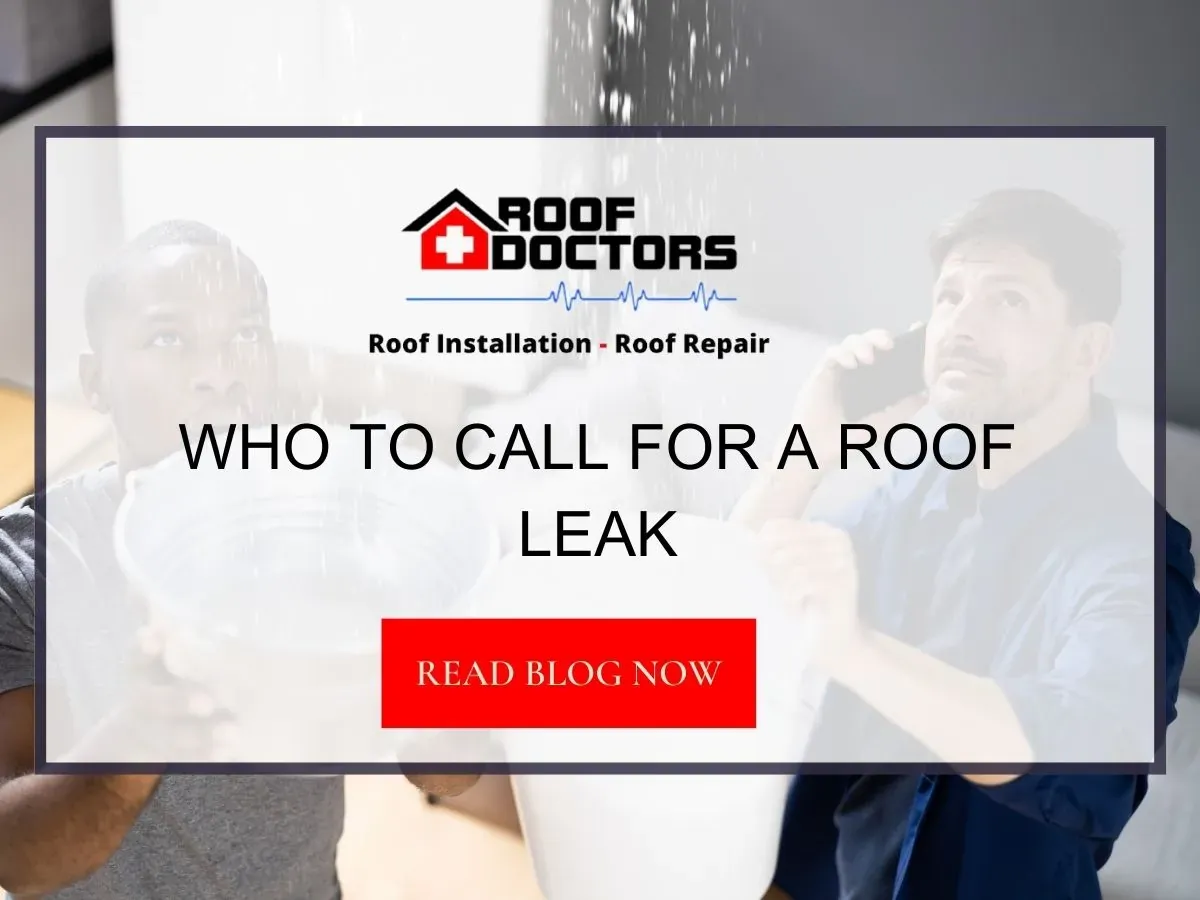 Who To Call For A Roof Leak