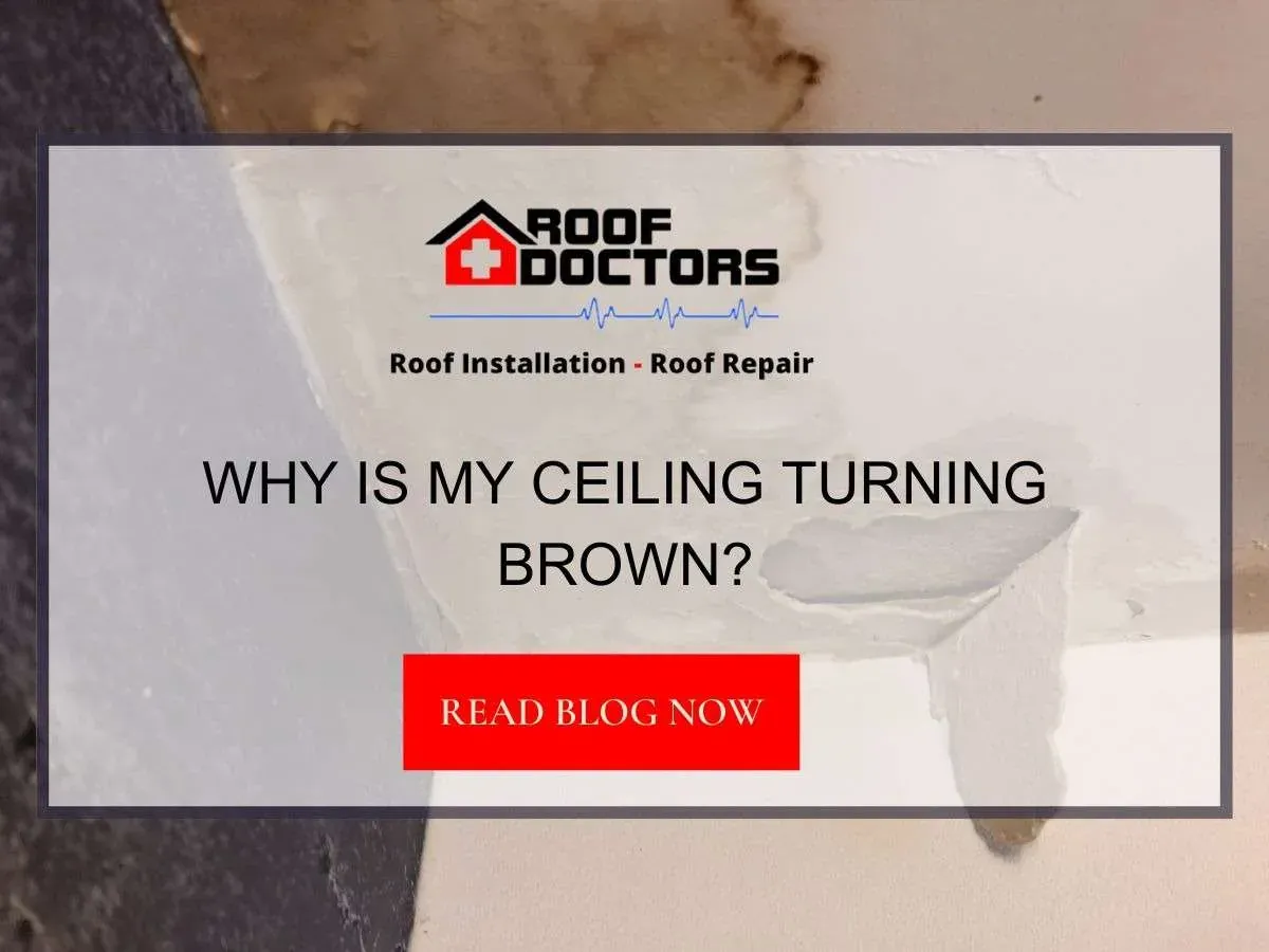 Why Is My Ceiling Turning Brown?