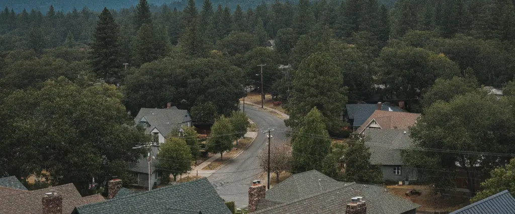 Well-maintained residential rooftops in Middletown, Lake County, California, with tall conifers and coastal fog
