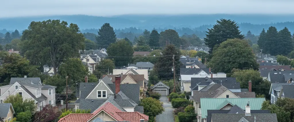 Well-maintained residential rooftops in Fairfax, Marin County, California, with rolling hills and coastal haze