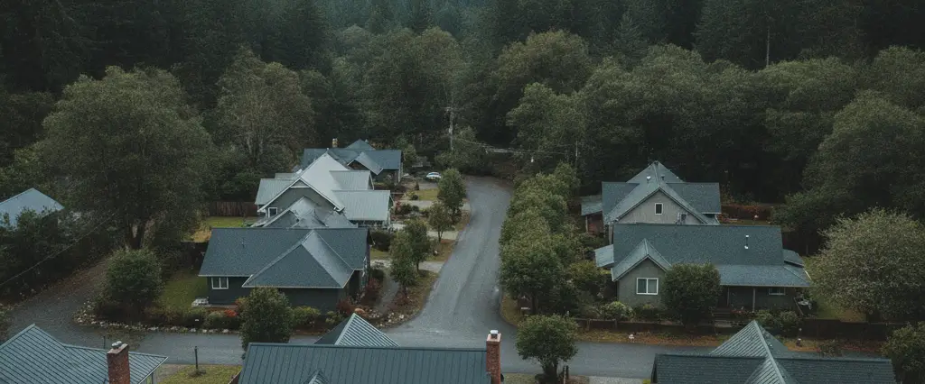 Well-maintained residential rooftops in Willits, Mendocino County, California, with tall conifers and coastal fog