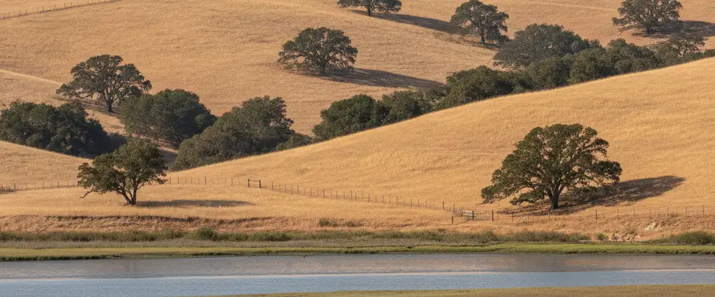 Alameda County East Bay golden oak-grass hills rising toward Mount Diablo above bay shoreline marsh