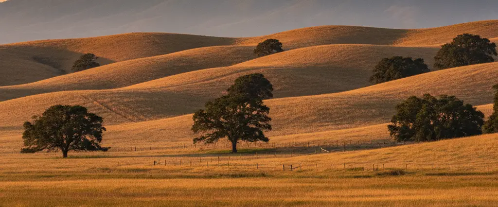 Contra Costa County rolling oak-grass hills dominated by Mount Diablo with delta tule sloughs at the edge