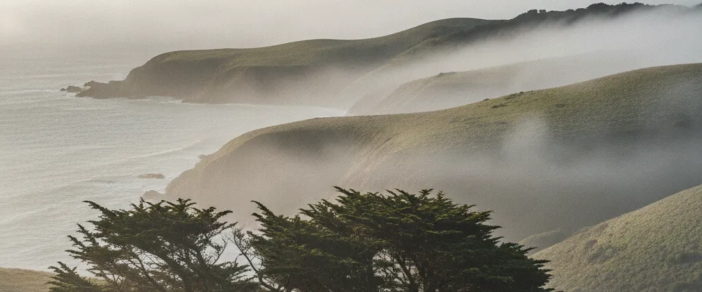 Marin County coastal headlands wrapped in low marine fog with windblown cypress and Mount Tamalpais ridgeline beyond