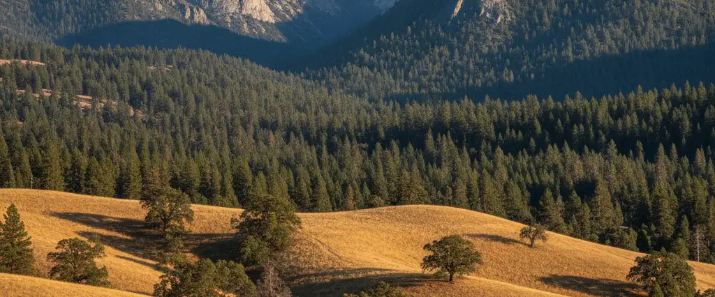 Mariposa County Yosemite-gateway oak foothills climbing to dramatic granite high country and conifer forest