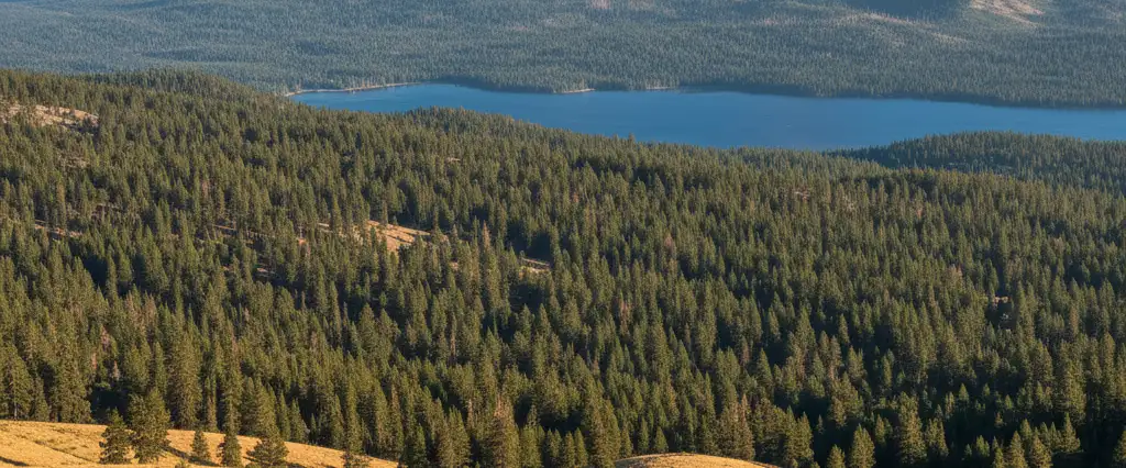 Placer County Sierra cross-section from oak foothills through pine forest to alpine granite and a blue lake