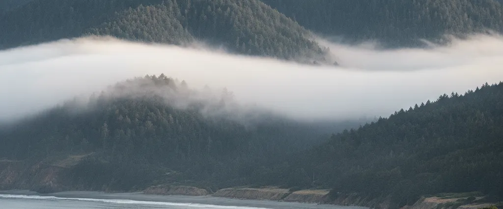 San Mateo County forested Santa Cruz Mountain ridge of redwood and fir descending to fog-edged Pacific bluffs