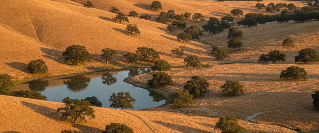 Santa Clara County broad inland valley ringed by golden oak-savanna foothills with an oak-fringed reservoir