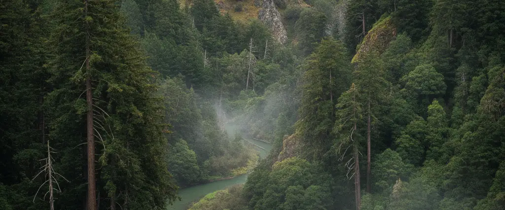 Sonoma County coast redwoods along a river meeting the wild Sonoma Coast sea-stacks and mixed oak hills