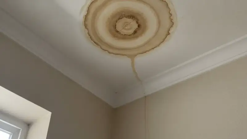 Brown water stain spreading across an interior ceiling indicating an active roof leak