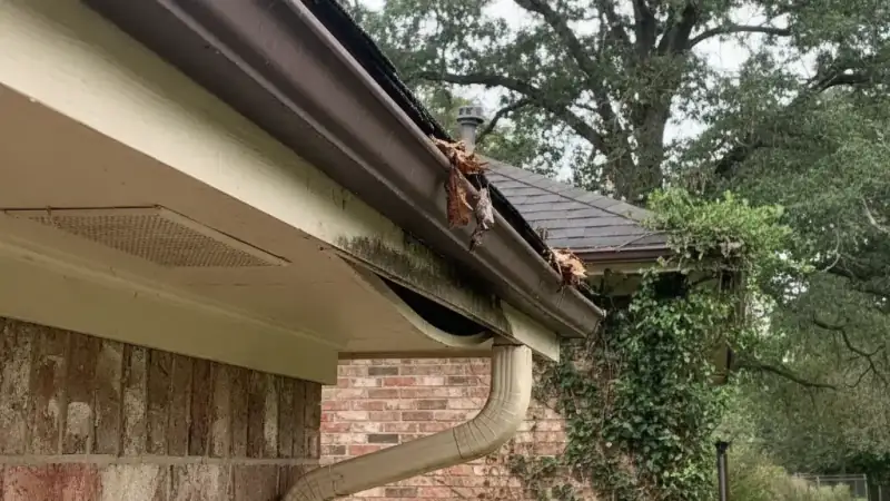 Sagging roof eave and gutter line caused by rotted structural wood behind it
