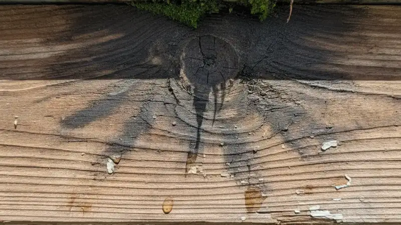 Water-stained and rotting fascia beneath an overflowing gutter