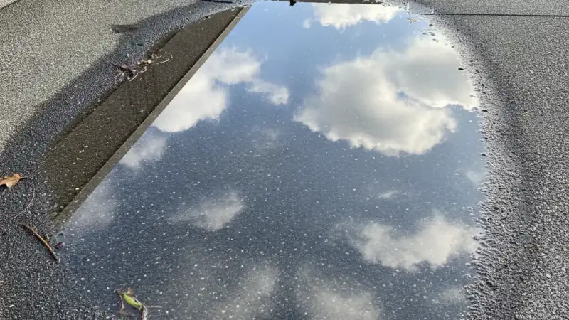 Shallow pool of ponding water on a flat low-slope roof after rain