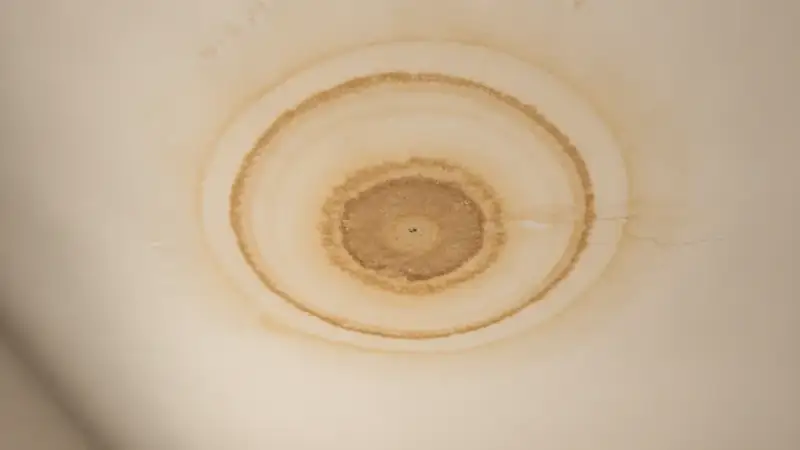 Brown water stain ring spreading across an interior ceiling from a roof leak