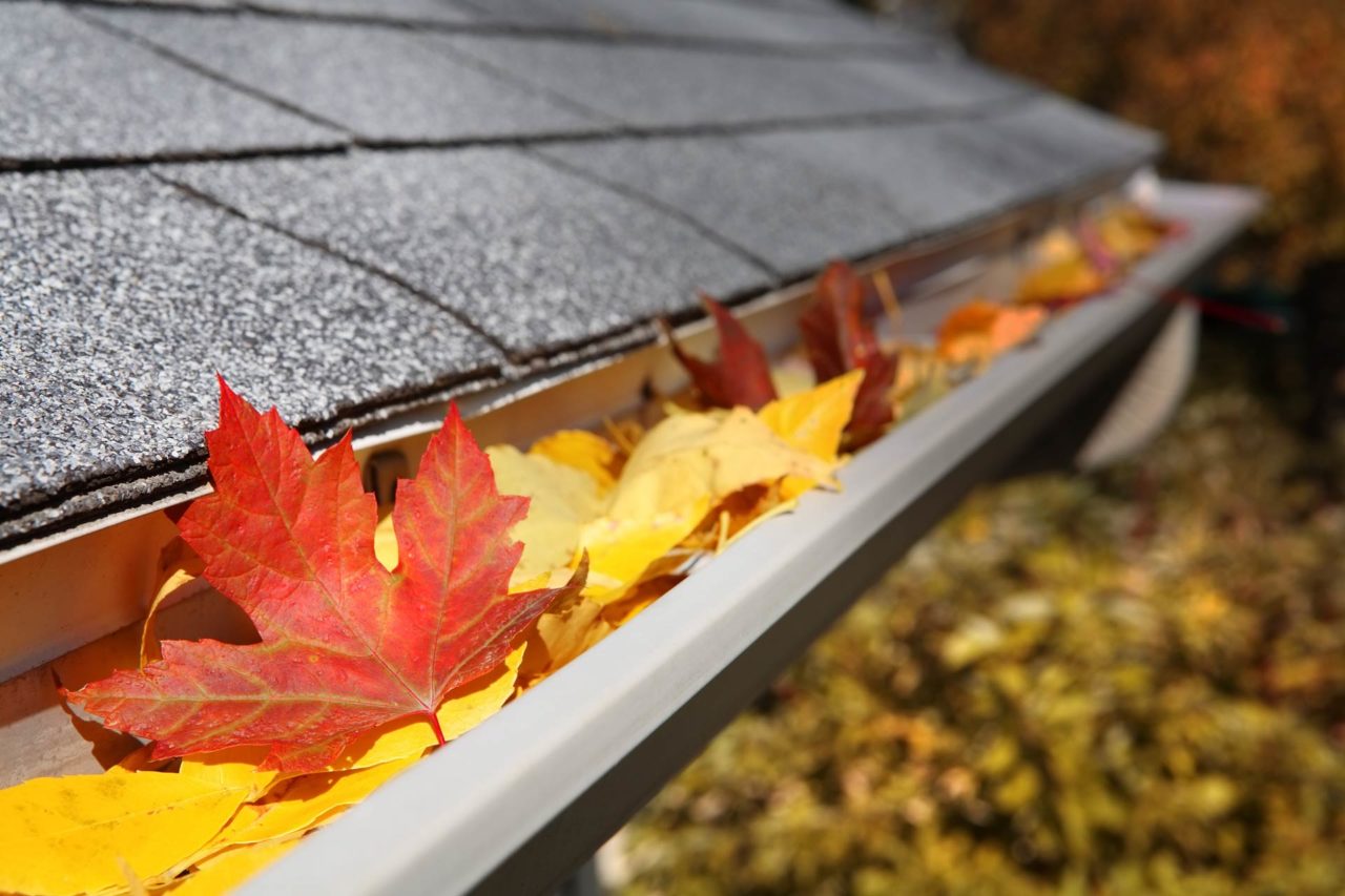 Roof Doctors Our Roofing Services in California
