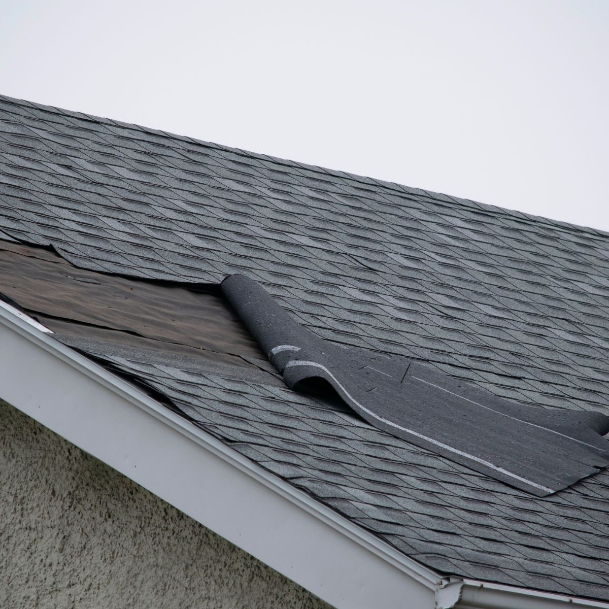 Shingle roof that needs to be repaired. A couple shingle are wind damaged