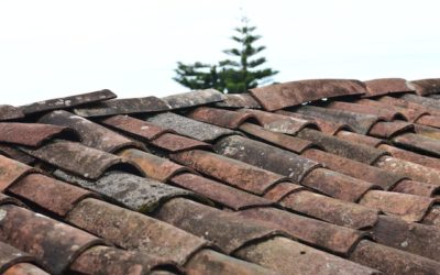 Selling or Buying A House With an Old Roof