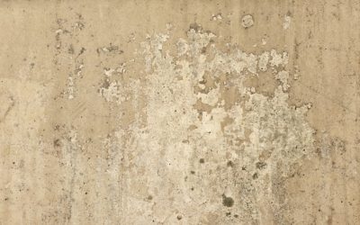 Can a Roof Leak Cause Mold?