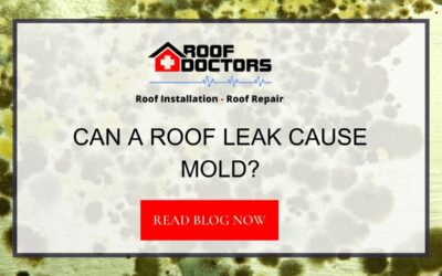 Can a Roof Leak Cause Mold?