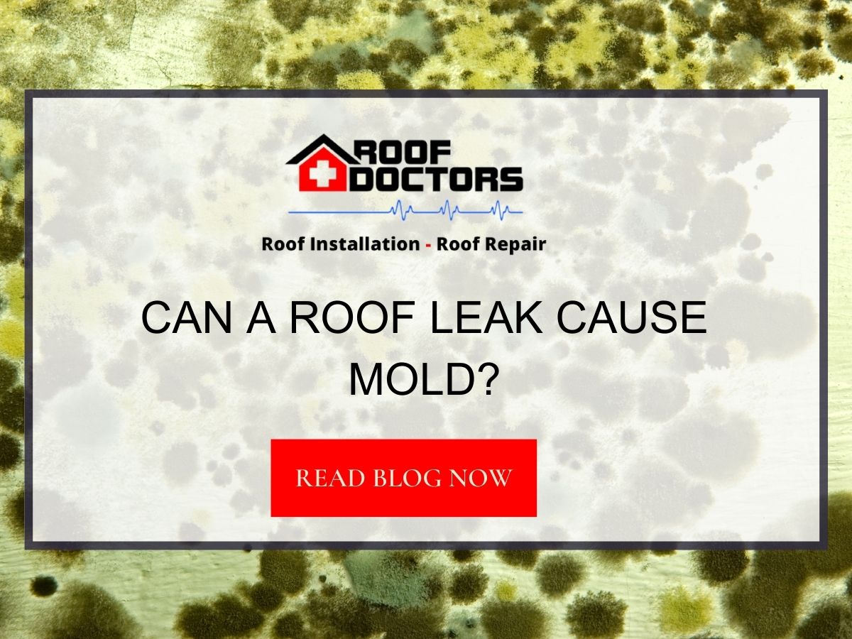 Front image of a blog titled "Can a Roof Leak Cause Mold? " with a green mold as the background and the title displayed in serif typography