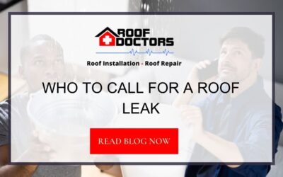 Who To Call For A Roof Leak