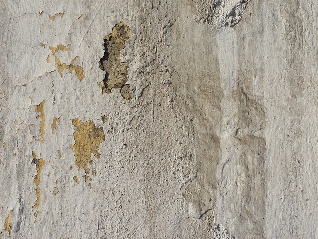 Peeling paint caused by mold