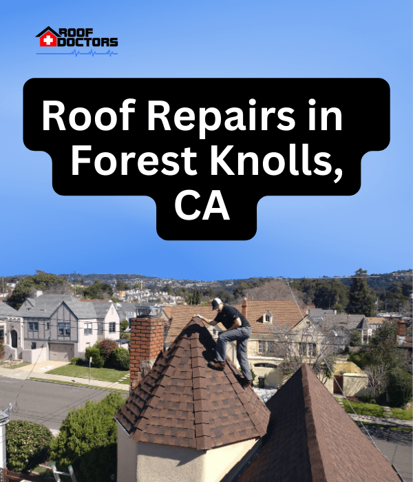 A man standing on steep shingle roof turret with a blue sky background with the text " Roof Repairs in Lagunitas, Ca" overlayed