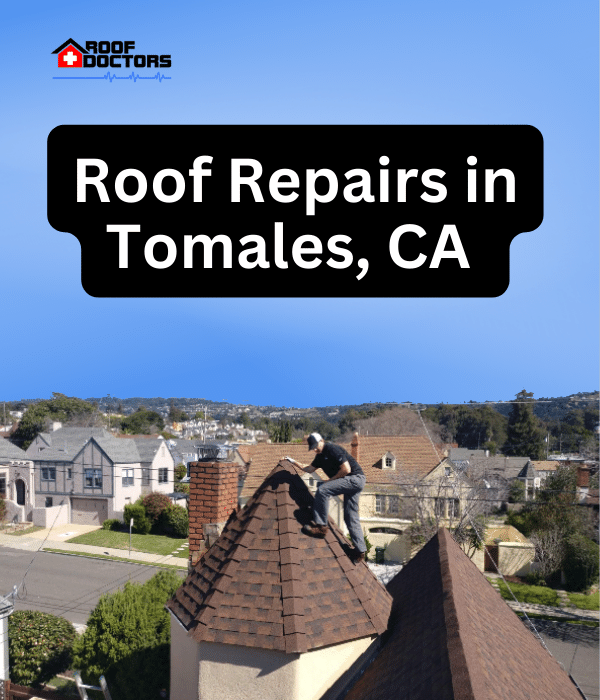A man standing on steep shingle roof turret with a blue sky background with the text " Roof Repairs in Tomales, Ca" overlayed