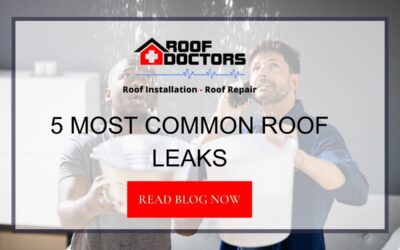 5 Most Common Roof Leaks