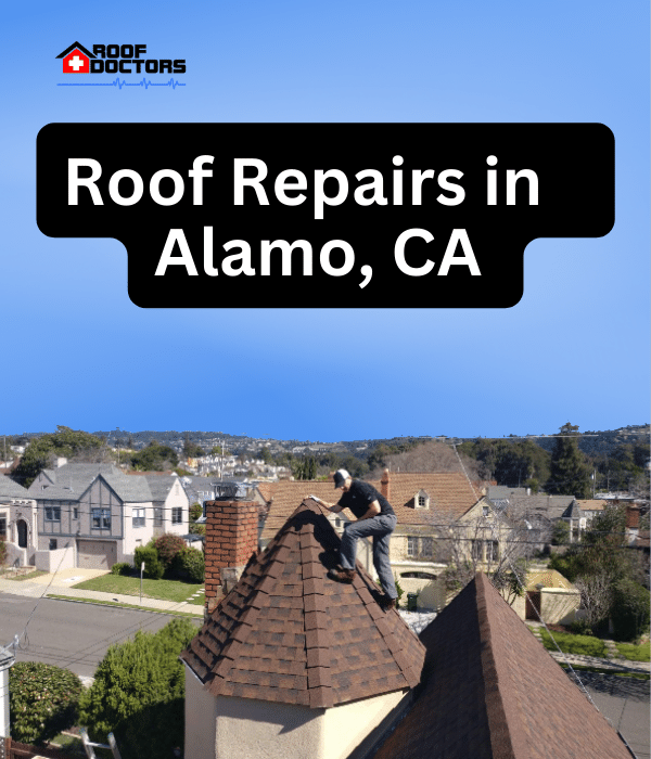 A man standing on steep shingle roof turret with a blue sky background with the text " Roof Repairs in Alamo, Ca" overlayed