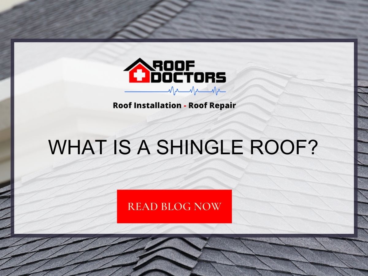Front image of a blog titled " What Is A Shingle Roof? " with an asphalt shingle roof as the background and the title displayed in serif typography