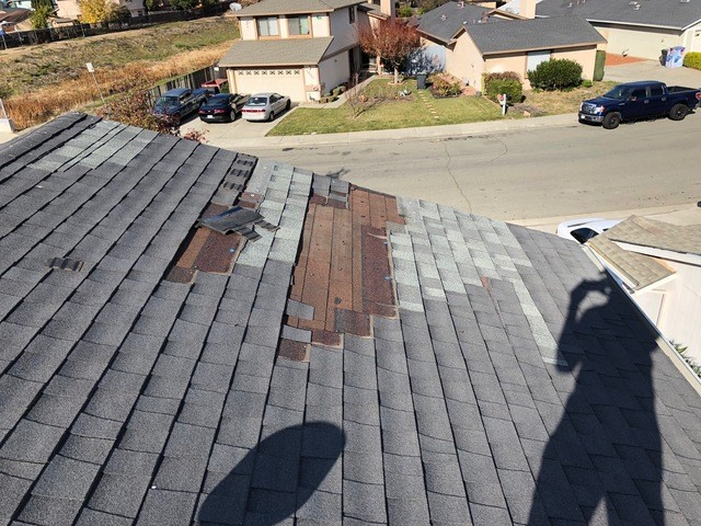 An asphalt roof with wind damage 