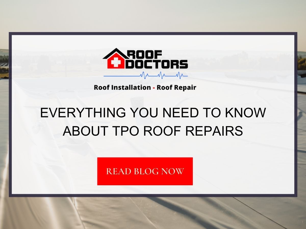 Front image of a blog titled "Everything You Need to Know About TPO Roof Repairs" with a TPO roof as the background and the title displayed in serif typography