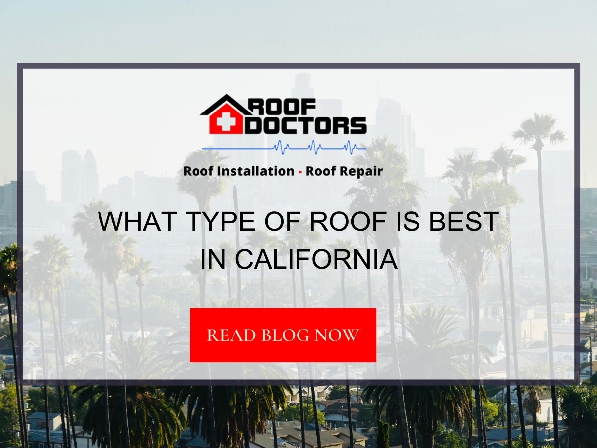Front image of a blog titled "What Type Of Roof Is Best In California" with California trees as the background and the title displayed in serif typography