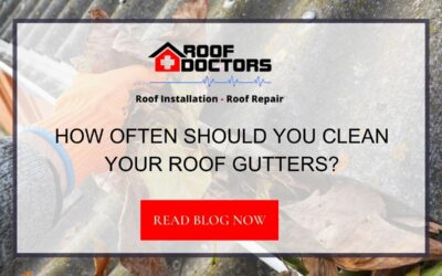 How Often Should You Clean Your Roof Gutters?