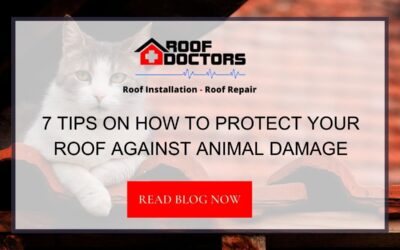 7 Tips on How to Protect Your Roof Against Animal Damage